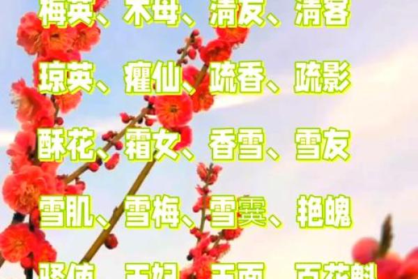 梅花美女象征什么生肖，性格特点解析  