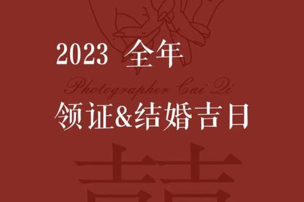请问明年一月份哪几天是领证的好日子?需要避开哪些忌讳和冲煞 请问明年一月份哪几天是领证的好日子?需要避开哪些忌讳和冲煞