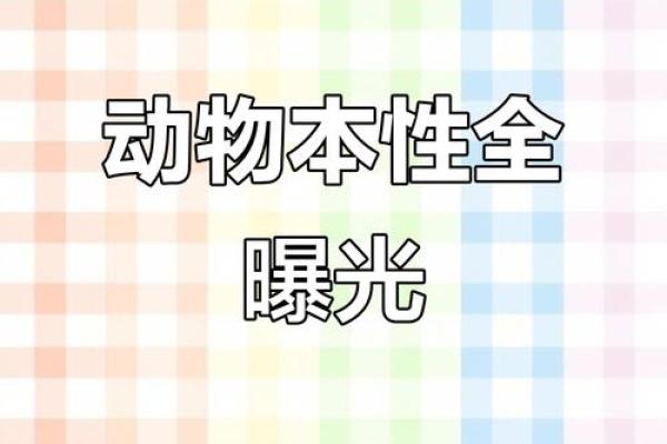 助纣为虐在十二生肖中代表哪个动物及其性格解析  