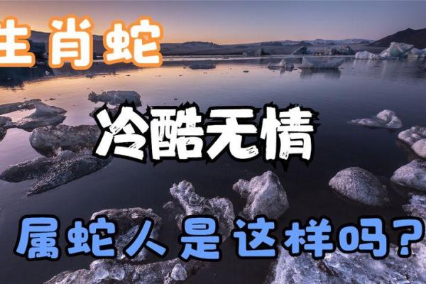 转面无情是什么生肖  词语释义解释落实