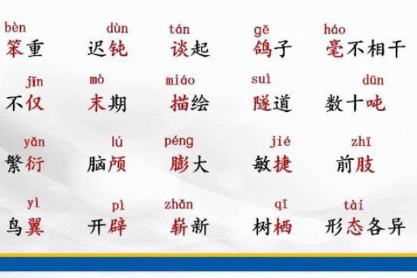 伯乐相马是什么生肖  词语释义解释落实