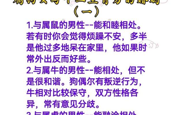 属狗男最佳婚配  词语释义解释落实