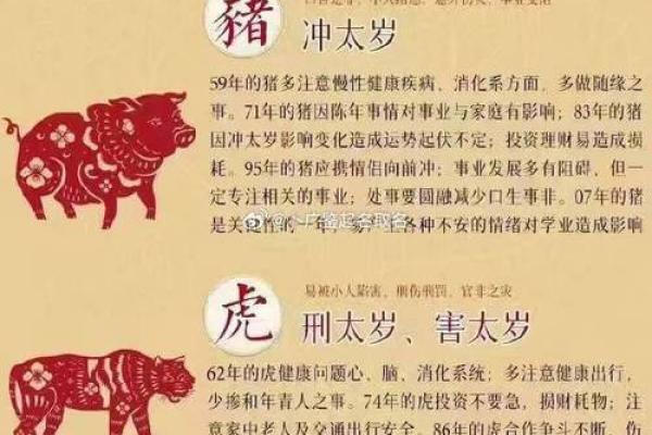 90年属什么生肖多少岁  词语释义解释落实