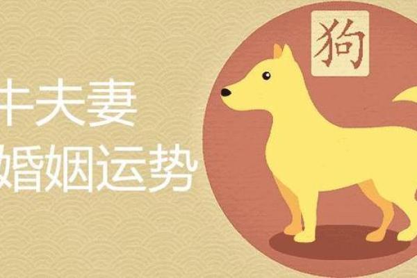 1994年男狗和1999年女兔在七月初八结婚是否吉利？