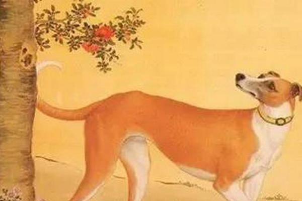 忠勇双全指什么生肖  词语释义解释落实