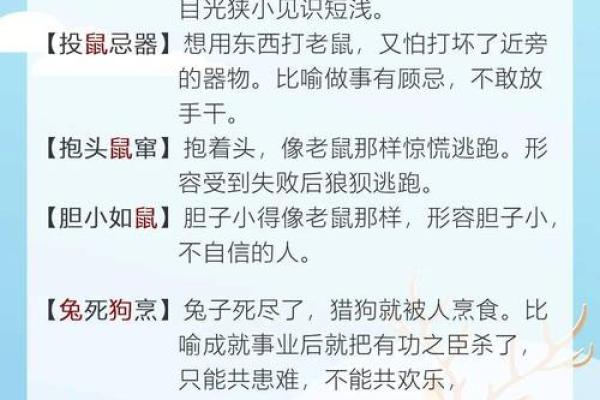 如何改变目光短浅生肖的思维方式和决策习惯  