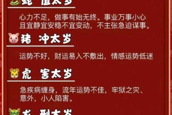 2019年是什么生肖年  
