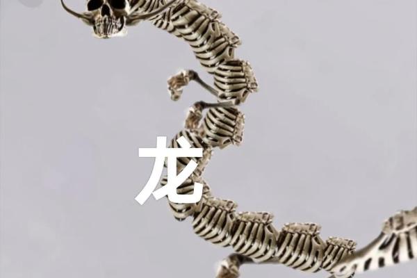 火烧眉毛在十二生肖中象征哪个动物 性格特点分析  