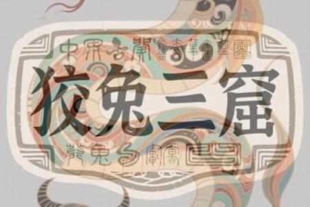 狡兔三窟打一生肖是什么动物答案及解析  
