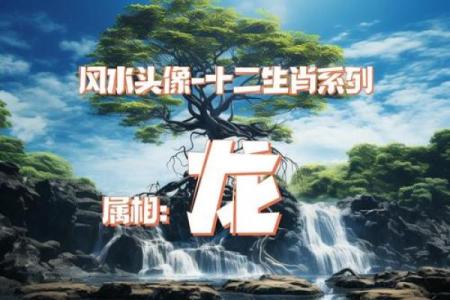大地万物打一个生肖的谜底是什么  