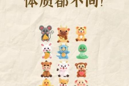 三五情缘八最知在生肖文化中的象征意义与运势解读  