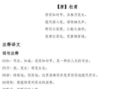 杏花春雨打一生肖  词语释义解释落实