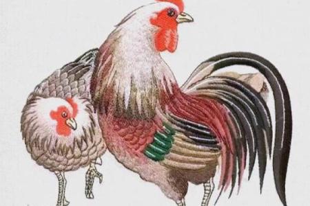 走马观花对应的生肖动物解析及文化寓意  