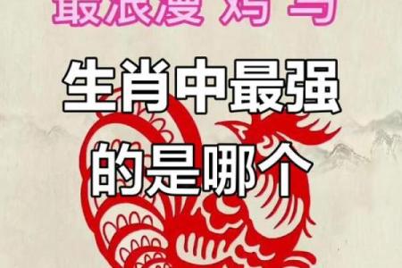 战无不胜的生肖动物有哪些特点和传说  