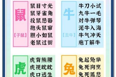井底之蛙的生肖隐喻是什么 如何理解这个成语对应的属相  