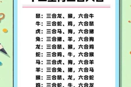 五大三粗在十二生肖中代表什么动物及其象征意义  