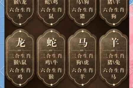 珍珠是特马对应的生肖动物解析及文化寓意  