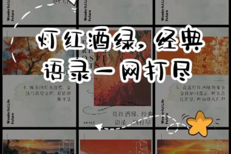 灯红酒绿打一生肖  词语释义解释落实