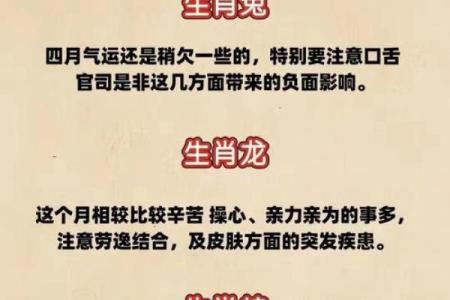 独领风骚是什么生肖 2024年运势最旺的属相解析  