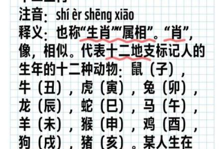 作茧自缚打一个生肖  词语释义解释落实