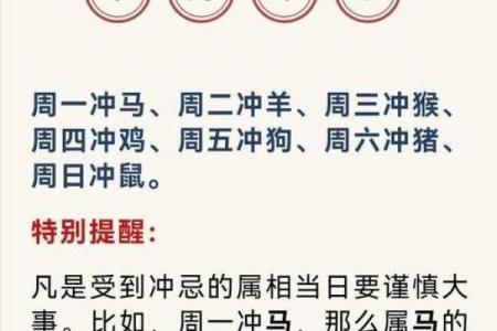 三心二意打一正确生肖  词语释义解释落实