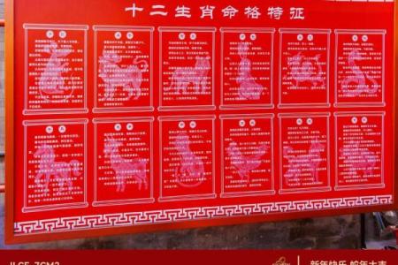 大街小巷代表什么生肖的寓意和象征  