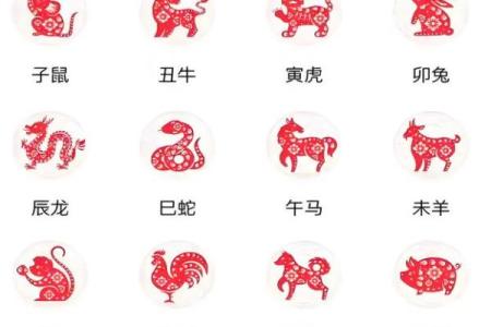 心急如焚打一生肖是什么动物最准确答案  