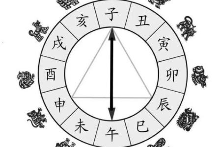 十二生肖中哪个属相代表一步登天的寓意  