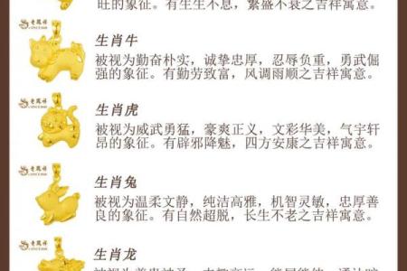 干干净净是什么生肖  词语释义解释落实