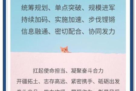 十拿九稳是什么生肖  词语释义解释落实