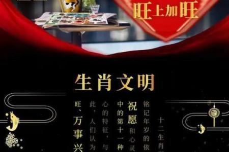 耳聪目灵打一个生肖  词语释义解释落实