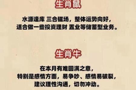 2024年叱咤风云的生肖运势排名及开运建议  
