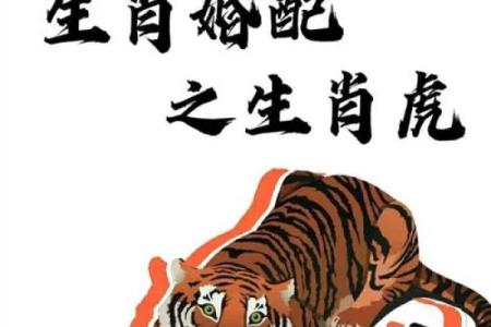 一轮红日升起对应的生肖是什么 猜谜技巧解析  