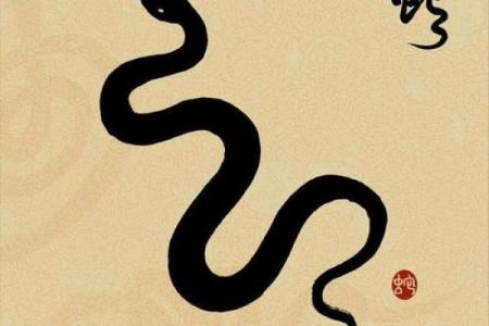 曲高和寡形容哪个生肖 性格特点分析  