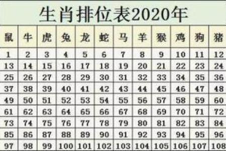 名列前茅象征的生肖排行及学业事业开运建议  
