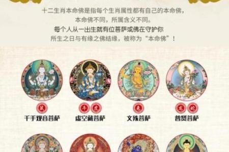 佛海无边对应的生肖是哪个  