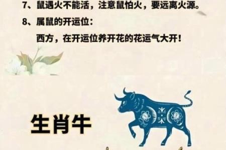 见异思迁在十二生肖中代表什么动物  