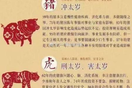 90年属什么生肖多少岁  词语释义解释落实