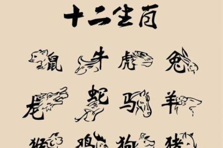 作法自毙指的是哪个生肖，有什么说法或典故  