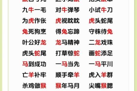四大才子正确生肖  词语释义解释落实