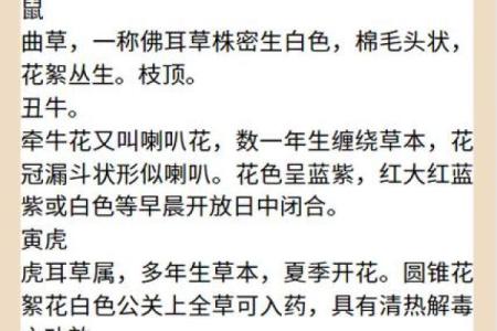 蹊田夺牛在十二生肖中代表哪个动物  