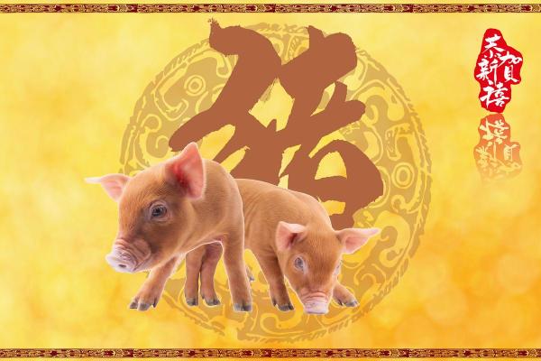 心急火燎代表哪个生肖，有什么性格特征和运势解析  