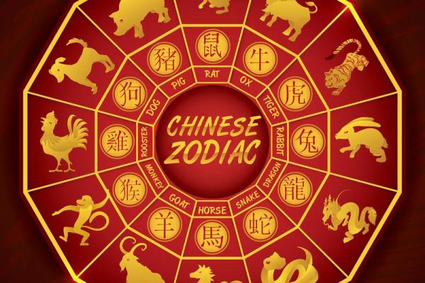 根据当地环境选择最旺运势的生肖  