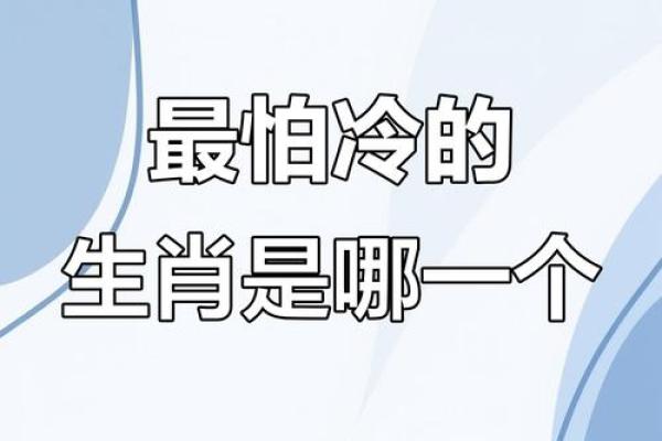 细毛织寒衣寻七在十二生肖中代表哪个动物  