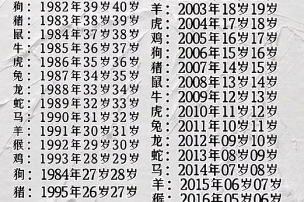 四九相助打一生肖  词语释义解释落实