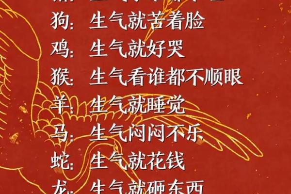 怒目相视是什么生肖  词语释义解释落实