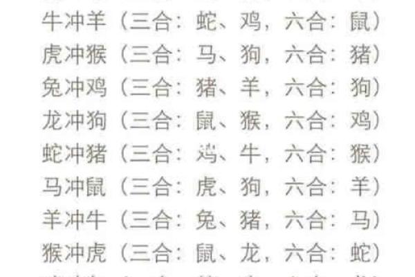 家中宠物对应的生肖有哪些，如何根据生肖选择适合的宠物  