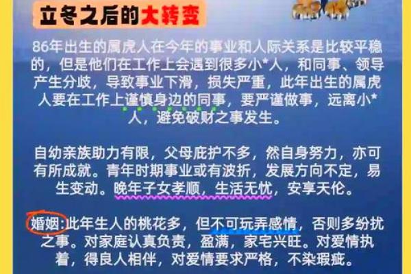 属虎的和哪些生肖相合事业合作财运好  