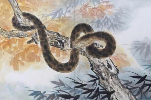 独占鳌头是什么生肖  词语释义解释落实