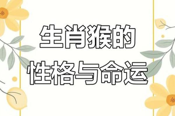 头撞南墙代表什么生肖及其性格分析  